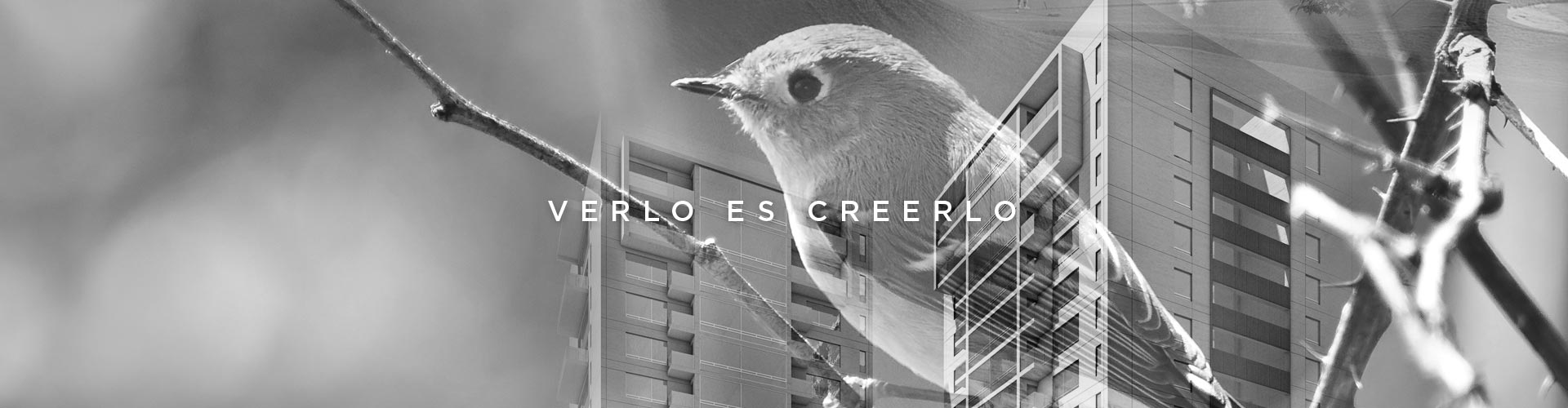 Desarrollo residencial en Interlomas